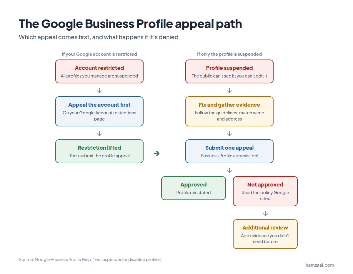 Google Business Profile appeal process flowchart